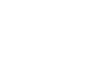 Besant Capital