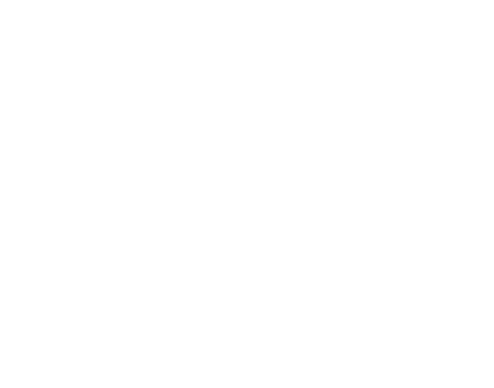 UDP International